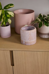 Refresh Ceramic Pots By Accent Decor