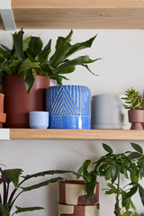 Refresh Ceramic Pots By Accent Decor