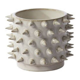 Barbed Pot By Accent Decor