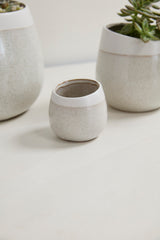 Choice Speckled Textured Pots By Accent Decor