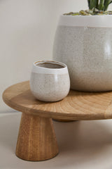 Choice Speckled Textured Pots By Accent Decor