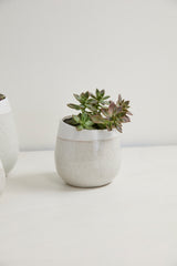 Choice Speckled Textured Pots By Accent Decor