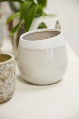 Choice Speckled Textured Pots By Accent Decor