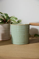 Roux Textured Ceramic Pots By Accent Decor