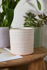 Roux Textured Ceramic Pots By Accent Decor