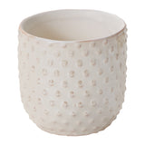 Everly Ceramic Pots By Accent Decor