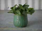 Palmero Ceramic Pots By Accent Decor