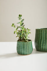 Palmero Ceramic Pots By Accent Decor