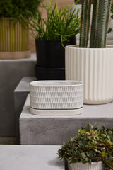 Zelle Speckled Ceramic Planters With Saucers By Accent Decor - 8" x 4" x 4.5" - Image 2