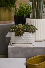 Zelle Speckled Ceramic Planters With Saucers By Accent Decor - 9" x 5.5" x 5" - Image 6