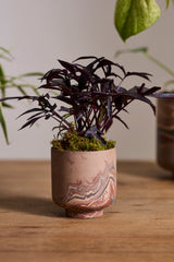 Tedros Marbled Footed Pots By Accent Decor