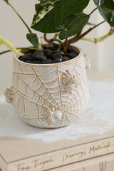 House Spider Pots By Accent Decor