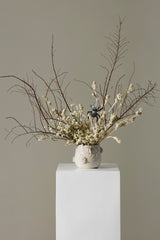 House Spider Pots By Accent Decor
