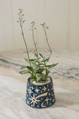 Night Sky Pot By Accent Decor