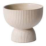 Thorn Compotes By Accent Decor