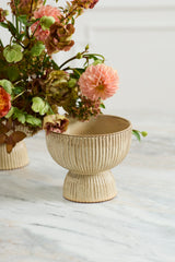 Thorn Compotes By Accent Decor