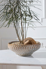 White Oak Bowl By Accent Decor