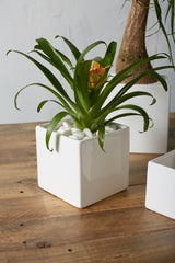 Urban Square Ceramic Decorative Accent By Accent Decor