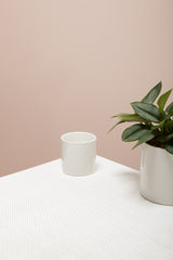 Cercle Ceramic Pots By Accent Decor