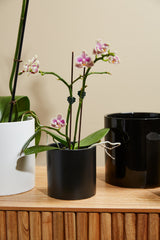 Cercle Ceramic Pots By Accent Decor