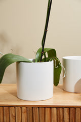Cercle Ceramic Pots By Accent Decor