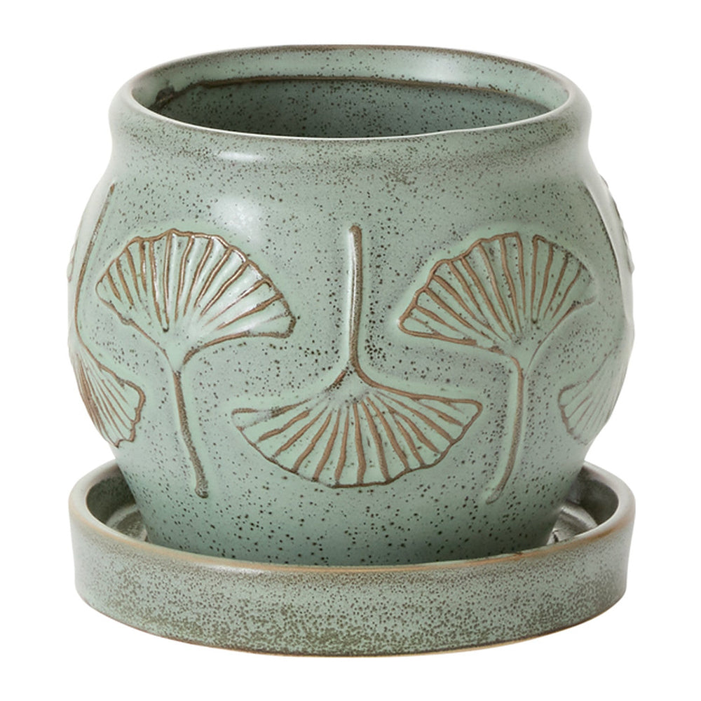 Biloba with Saucer Ceramic Pots By Accent Decor