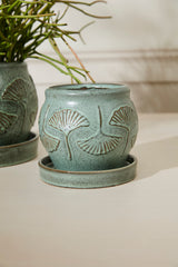 Biloba with Saucer Ceramic Pots By Accent Decor