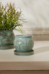 Biloba with Saucer Ceramic Pots By Accent Decor