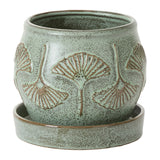 Biloba with Saucer Ceramic Pots By Accent Decor