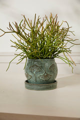 Biloba with Saucer Ceramic Pots By Accent Decor