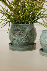 Biloba with Saucer Ceramic Pots By Accent Decor