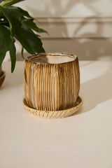 Carved with Saucer Ceramic Pots By Accent Decor
