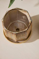 Carved with Saucer Ceramic Pots By Accent Decor