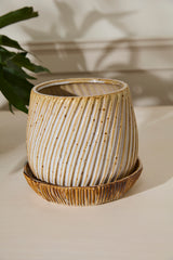 Carved with Saucer Ceramic Pots By Accent Decor