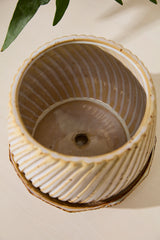 Carved with Saucer Ceramic Pots By Accent Decor