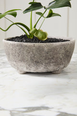 Shoal Bowl By Accent Decor