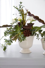 Cara Ceramic Compotes By Accent Decor