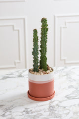 Hadley Ceramic Pots By Accent Decor