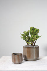 Habitat Textured Ceramic Pots By Accent Decor