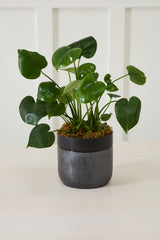 Lennon Ceramic Pots By Accent Decor