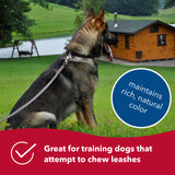 Circle T Latigo Leather Dog Leash, 6'