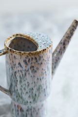 Lucien Watering Can By Accent Decor