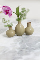 Thyme Bud Vase By Accent Decor