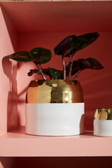 Claire Ceramic Pots By Accent Decor