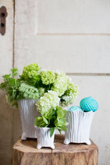 Mellie Footed Ceramic Pots By Accent Decor
