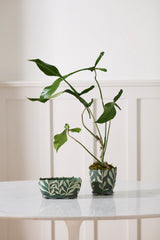 Vinelet Pot By Accent Decor