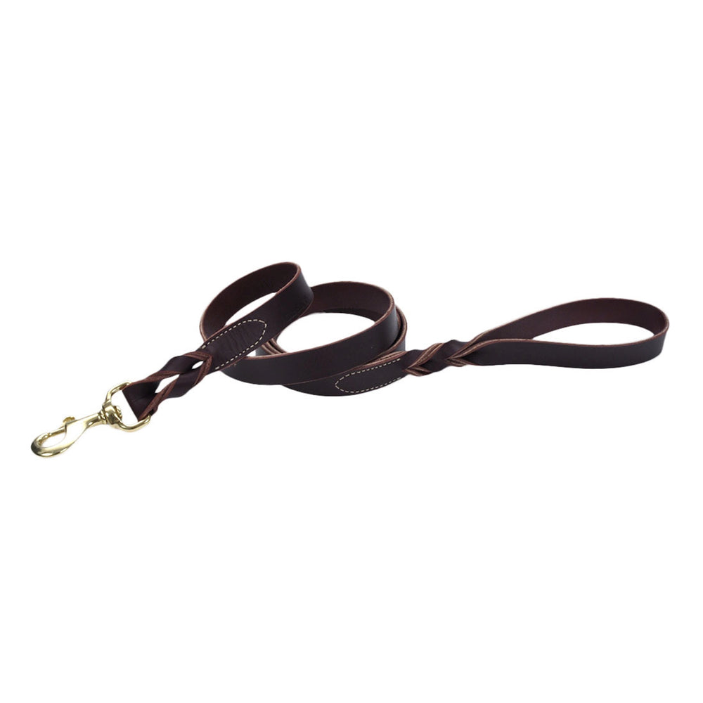 Circle T Latigo Leather Twist Dog Leash with Brass Hardware, 6' - Small - 5/8" x 6'