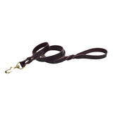 Circle T Latigo Leather Twist Dog Leash with Brass Hardware, 6' - Small - 5/8" x 6'