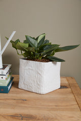 Linen Cube Ceramic Decorative Accent By Accent Decor