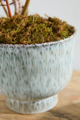 Hayden Pots By Accent Decor